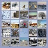 Winter Photo Collage Ideas